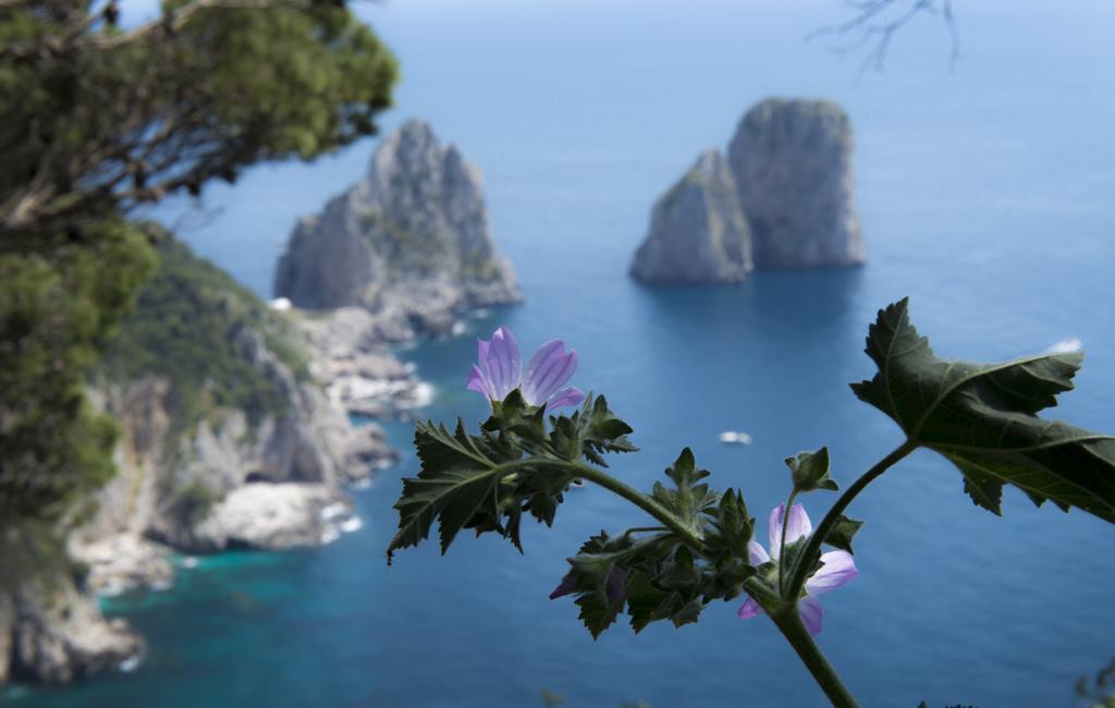 Bussola di Hermes Anacapri  Esterno foto
